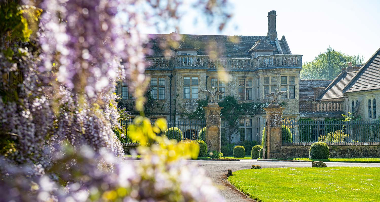 Mapperton House wisteria