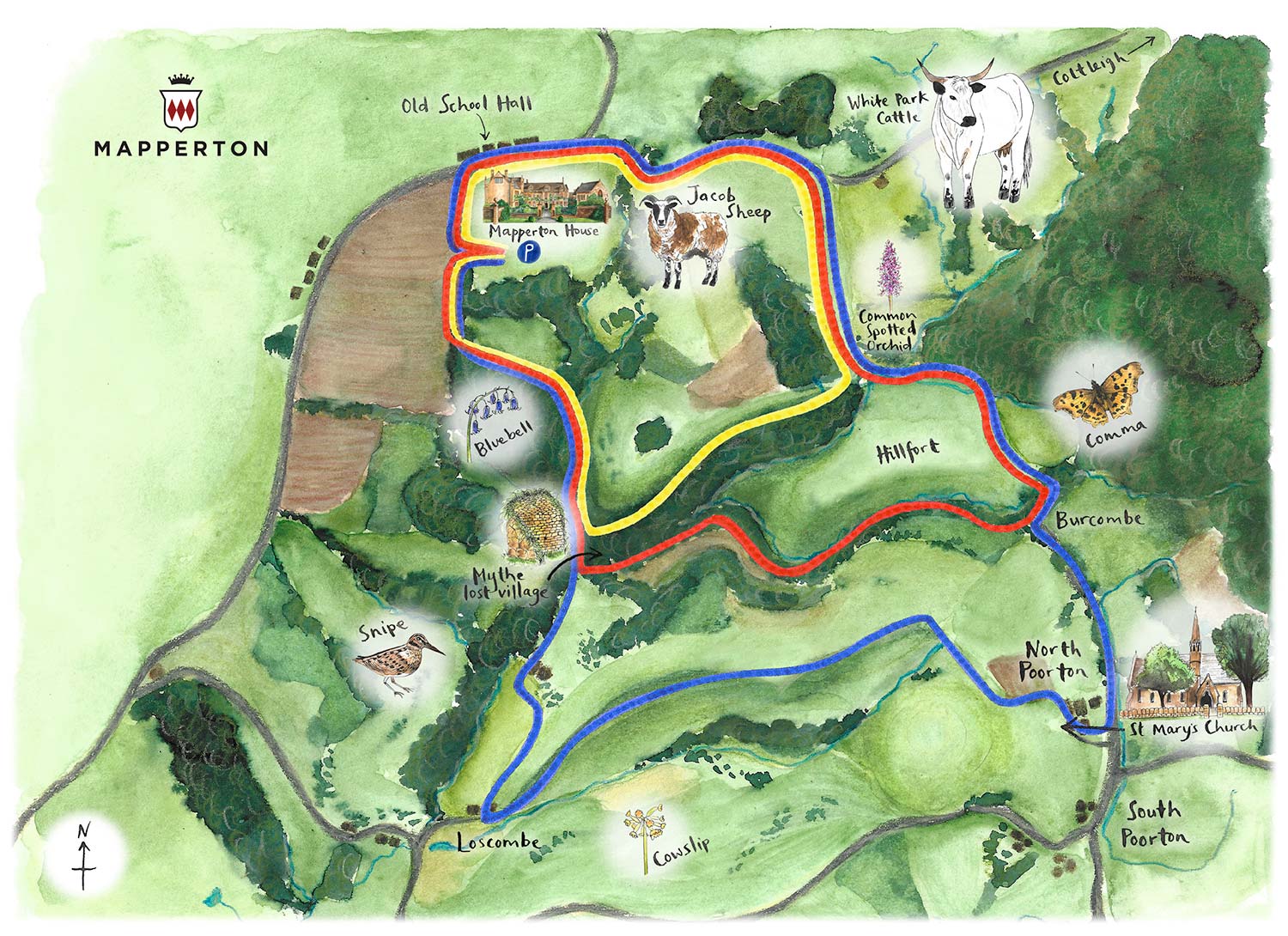 Mapperton Walks map