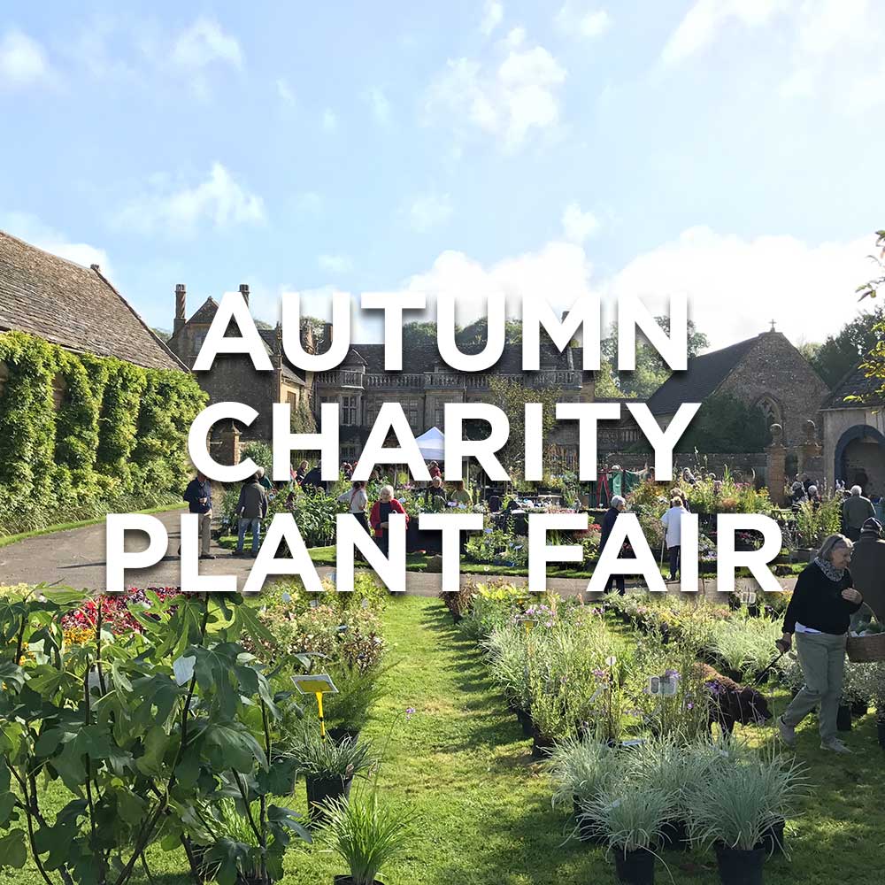 Autumn Plant Fair – 1 October 2023