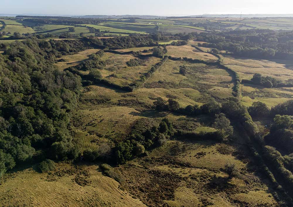 Mapperton Wildlands aerial photograph copyright Sam Rose